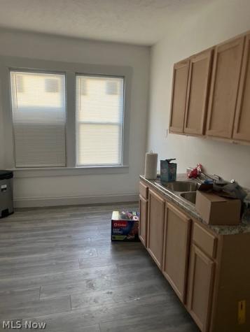 513 E 117 Street Cleveland OH 44108