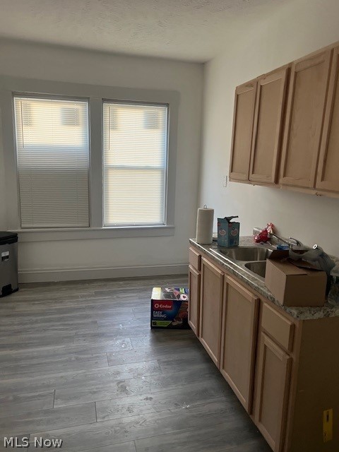 513 E 117 Street Cleveland OH 44108