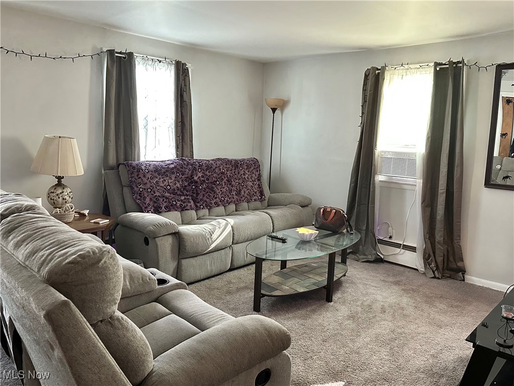 1132 Woodland Avenue NE Warren OH 44483