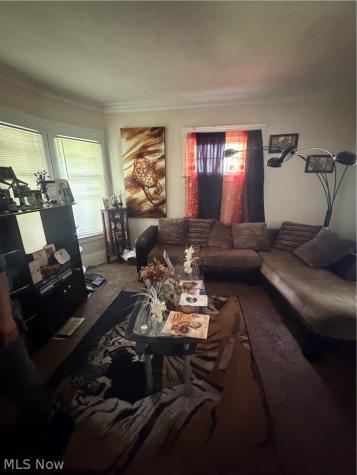 3217 Sycamore Road Cleveland Heights OH 44118