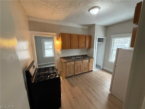1028 E 146 Street Cleveland OH 44110