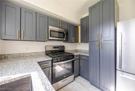 1471 E 118th Street Cleveland OH 44106