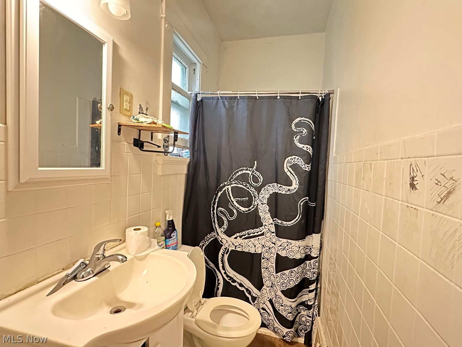144 W Cambridge Street Alliance OH 44601