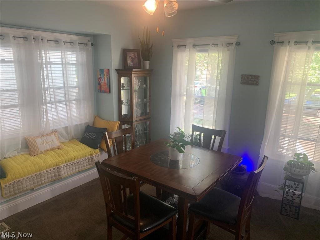 3219 W 112th Street Cleveland OH 44111