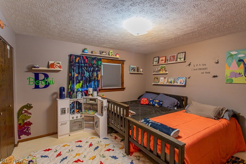 160 -162 Heritage Lane Cortland OH 44410