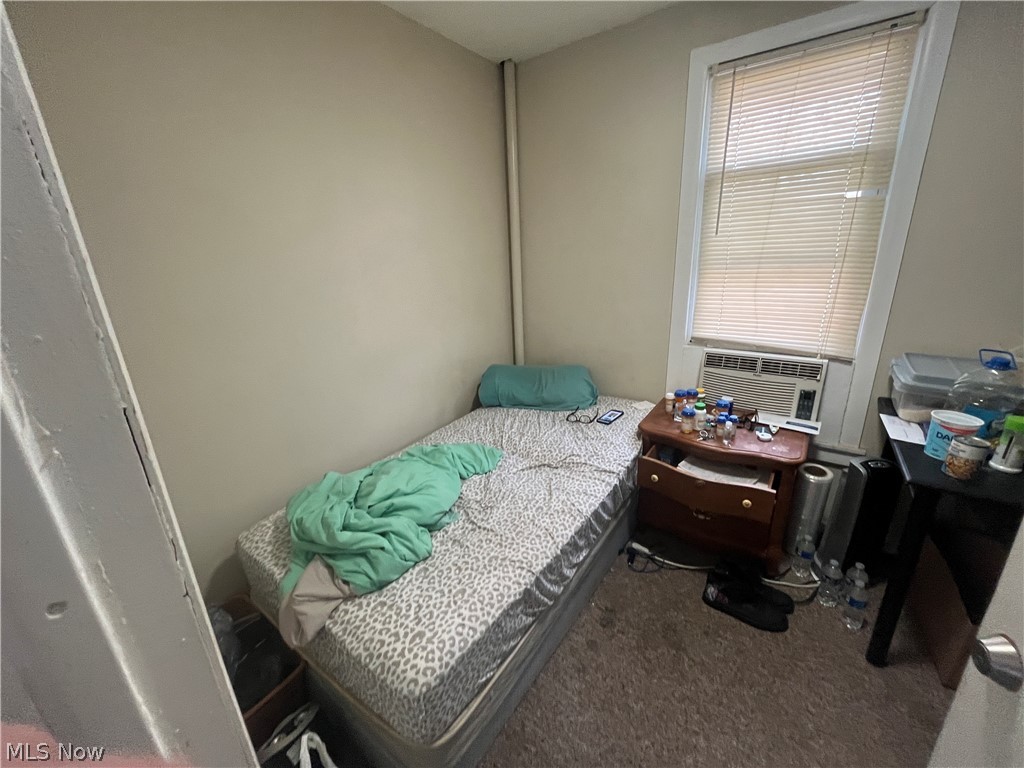 3688 W 15th Street Cleveland OH 44109