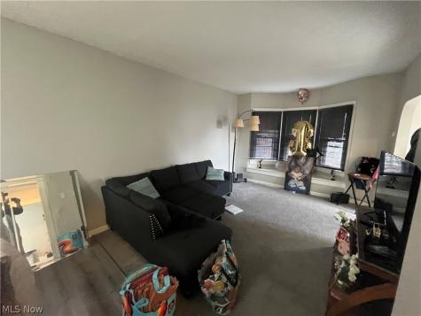 3688 W 15th Street Cleveland OH 44109
