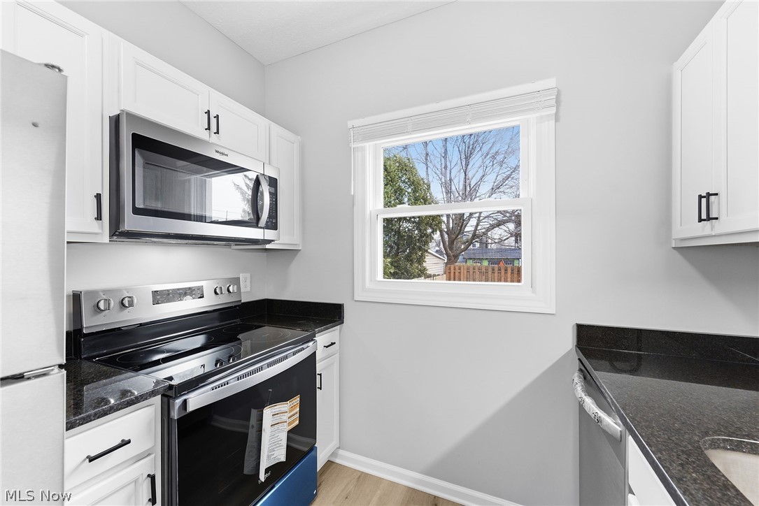 1535 Lakewood Avenue Lakewood OH 44107