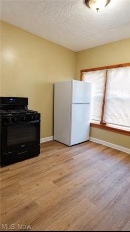 1193 E 169th Street Cleveland OH 44110