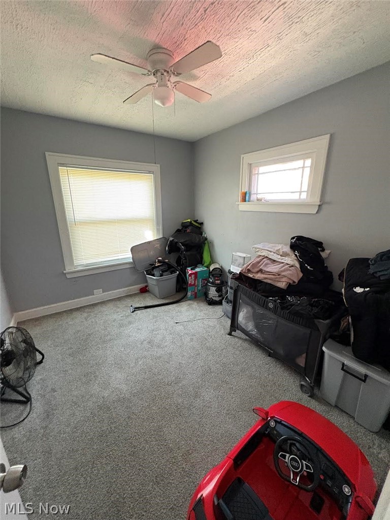 11817 Dove Avenue Cleveland OH 44105
