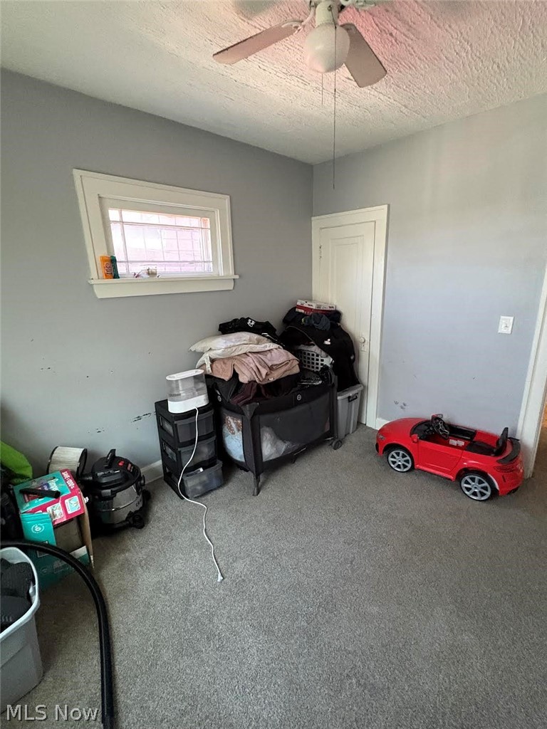 11817 Dove Avenue Cleveland OH 44105