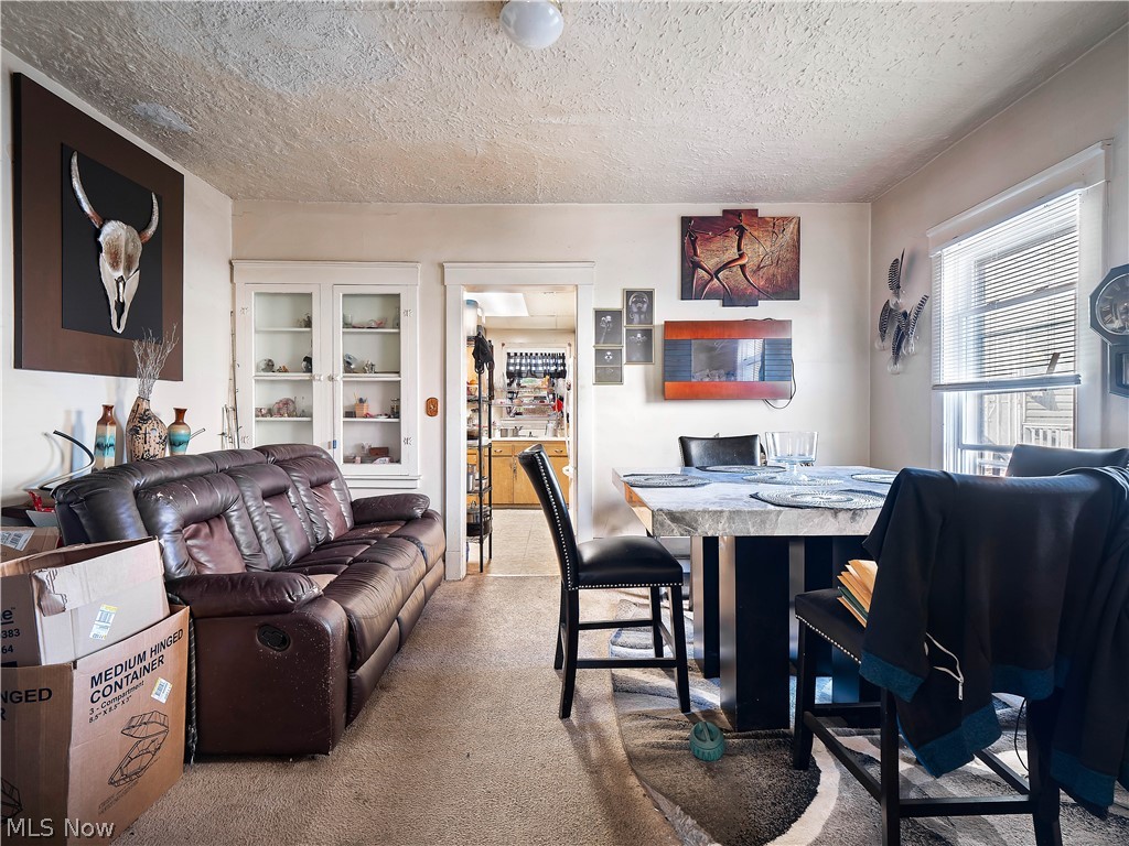3860 W 18th Street Cleveland OH 44109