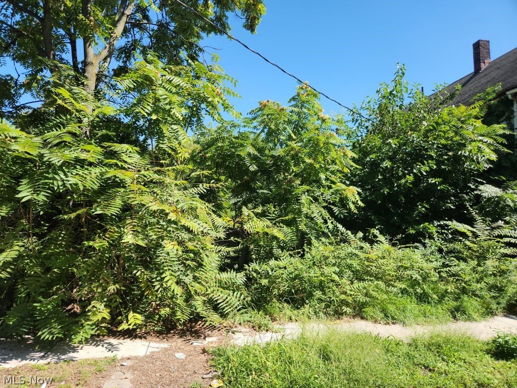 1085 E 66th Street Cleveland OH 44103