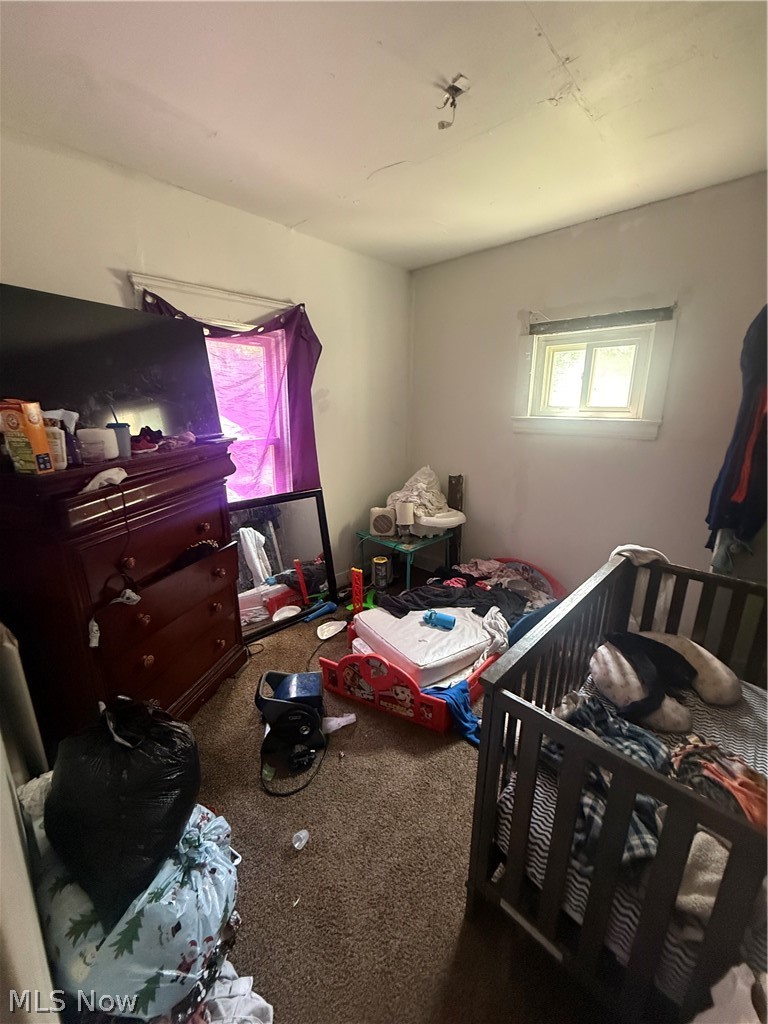 3554 E 118th Street Cleveland OH 44105