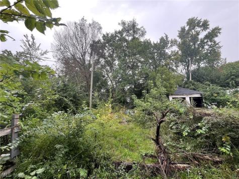 10403 Rosehill Avenue Cleveland OH 44104