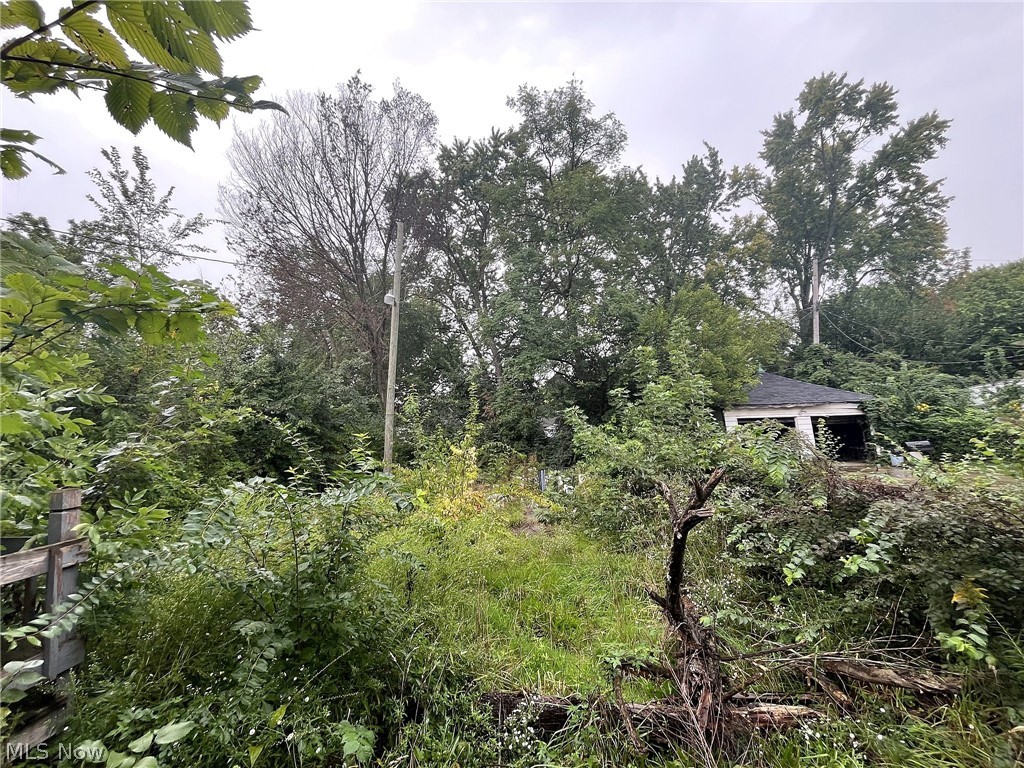 10403 Rosehill Avenue Cleveland OH 44104