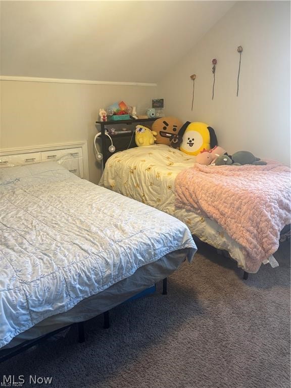 2203 Bunts Road Lakewood OH 44107