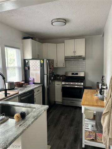 1479 Hopkins Avenue Lakewood OH 44107