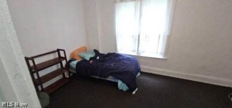1319 E 66th Street Cleveland OH 44103
