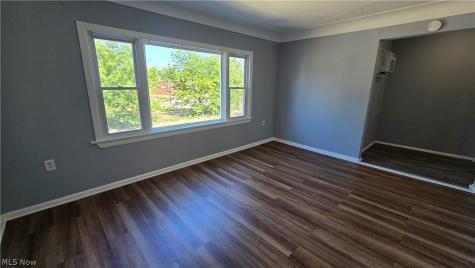 810 E 157th Street Cleveland OH 44110