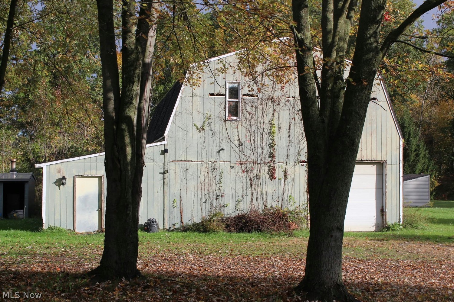 35894 State Route 303 Grafton OH 44044