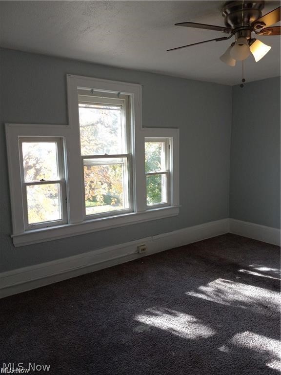 167 E Ido Avenue Akron OH 44301