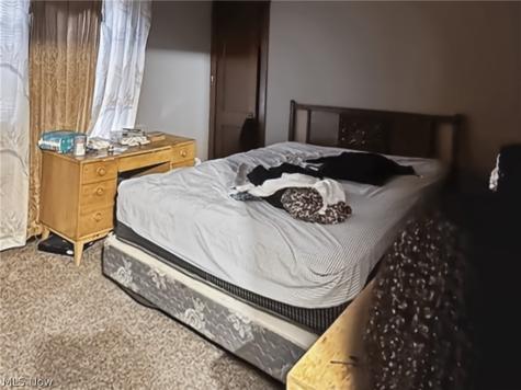 1382 E 188th Street Cleveland OH 44110
