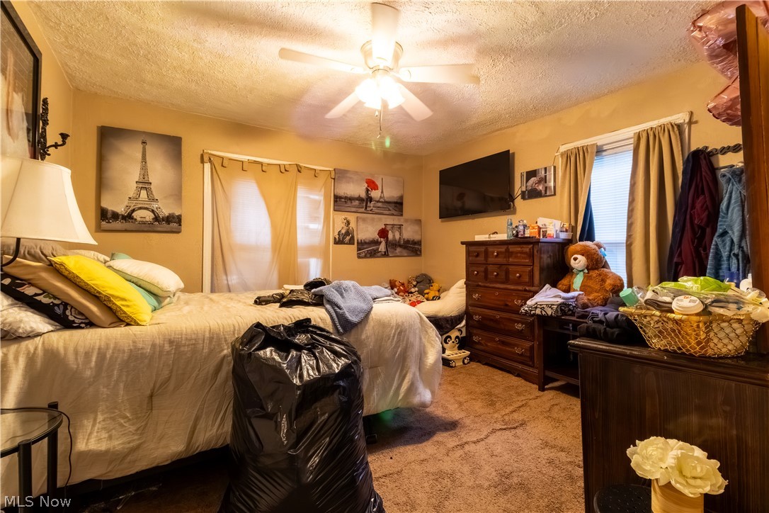 4089 Lincoln Avenue Shadyside OH 43947