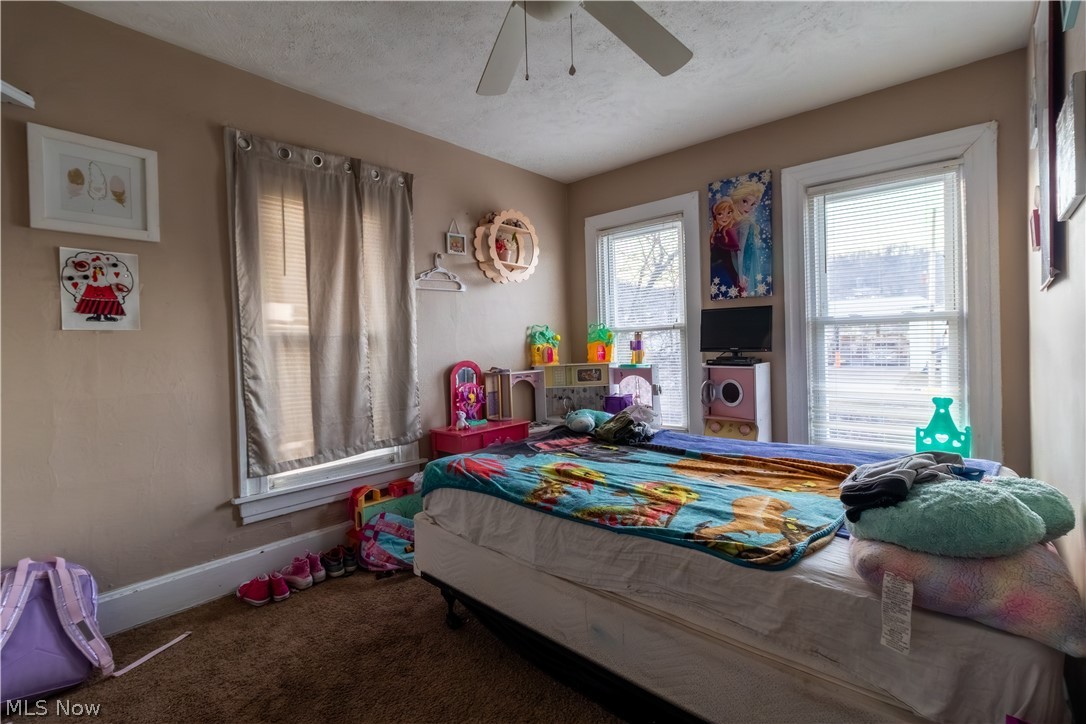 4089 Lincoln Avenue Shadyside OH 43947