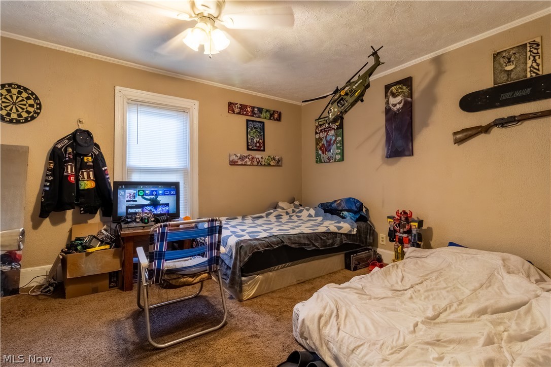 4089 Lincoln Avenue Shadyside OH 43947