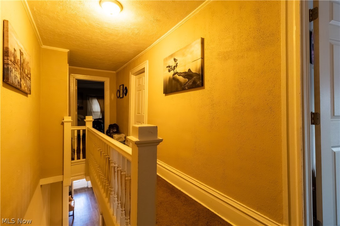4089 Lincoln Avenue Shadyside OH 43947