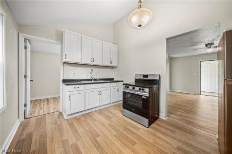 352 W Jackson Street Painesville OH 44077