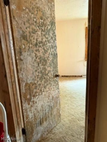 1766 Tanglewood Drive Akron OH 44313