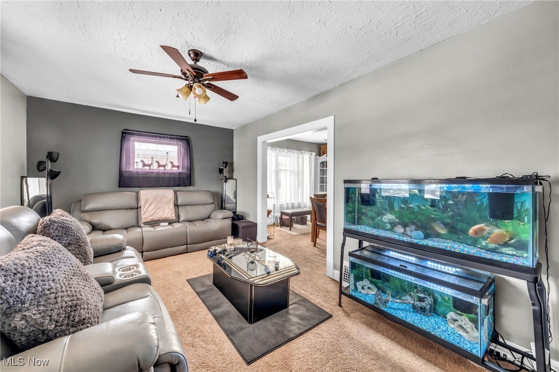 99 Ellenwood Avenue Bedford OH 44146