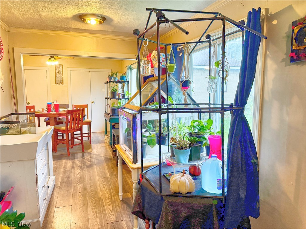 222 Shelby Street Sandusky OH 44870