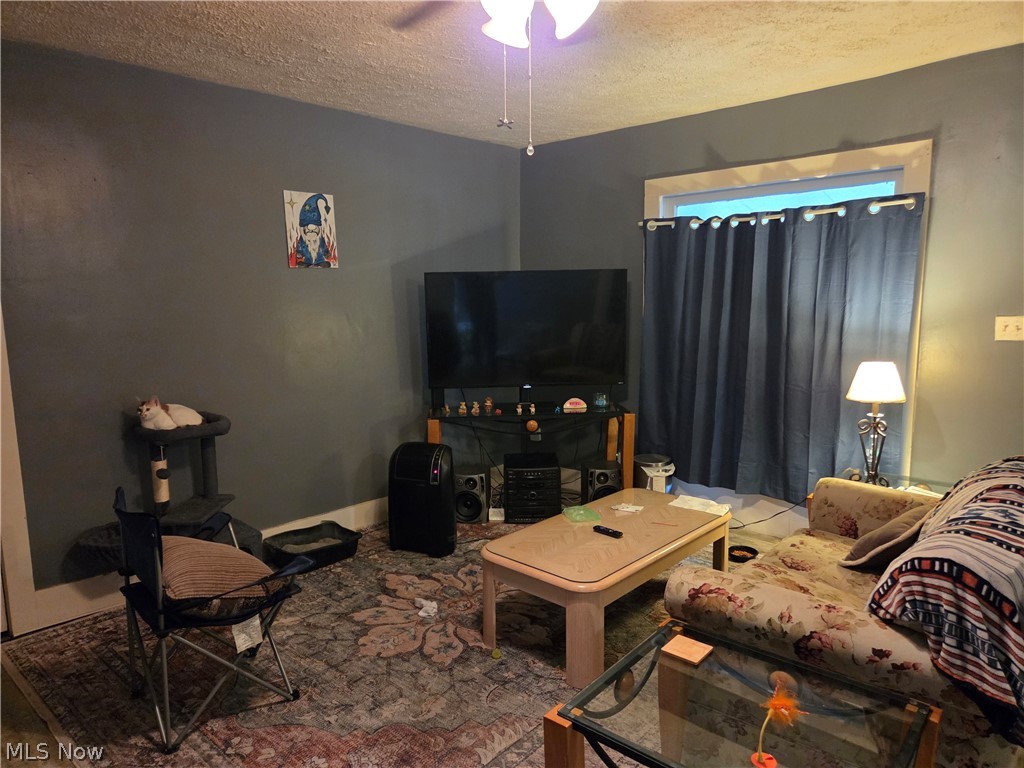 116 Taylor Street Wellington OH 44090