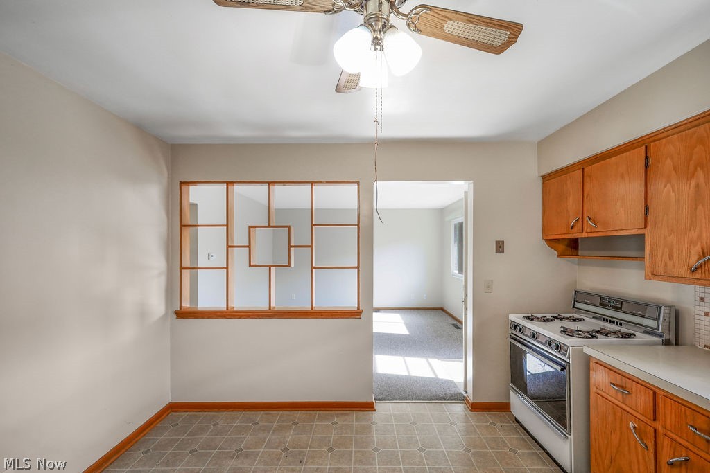 117-119 Filmore Avenue Cuyahoga Falls OH 44221