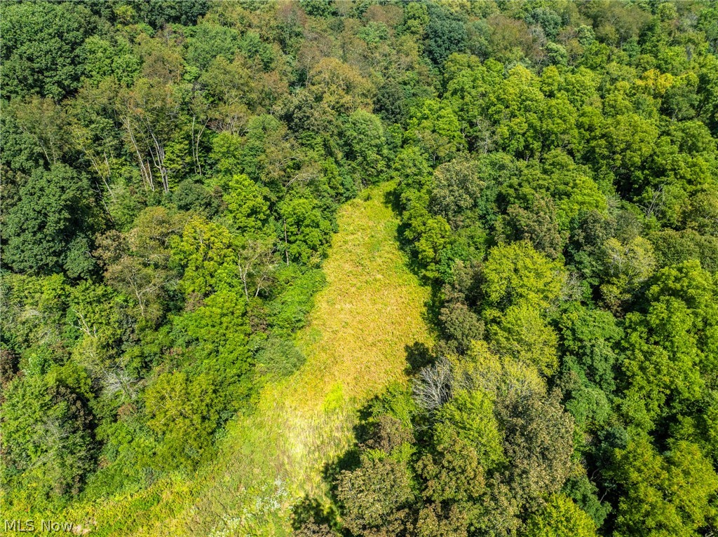 44423 Hanover Ridge Road Jewett OH 43986