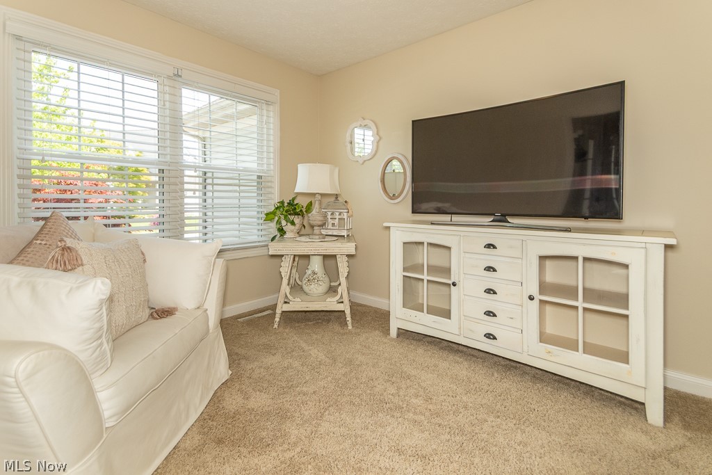 10266 Wildflower Way Broadview Heights OH 44147