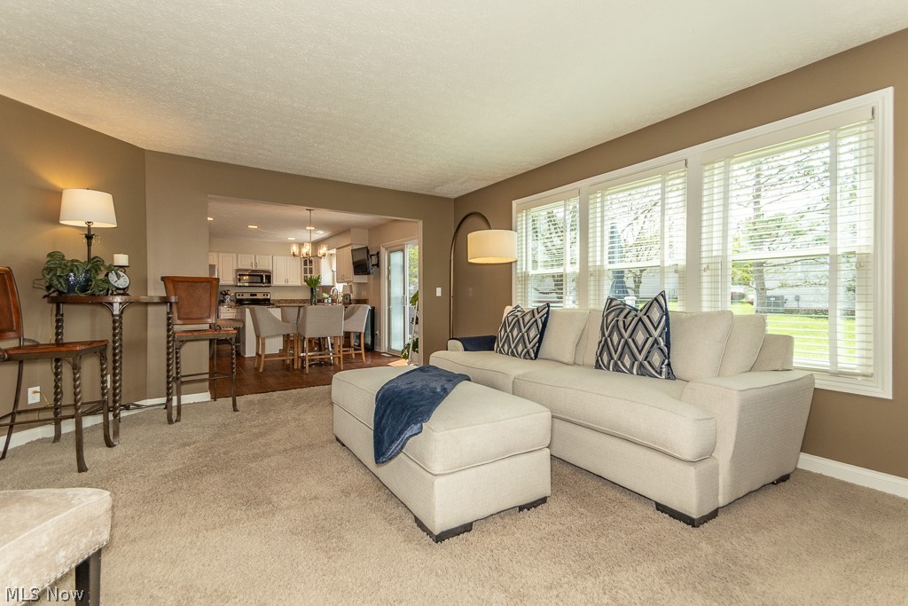 10266 Wildflower Way Broadview Heights OH 44147