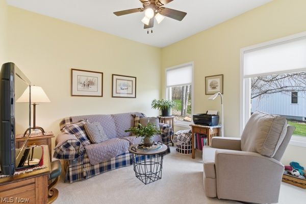 11014 Foxwood Trail S Garrettsville OH 44231