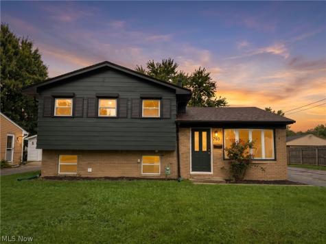 793 Georgetown Avenue Elyria OH 44035