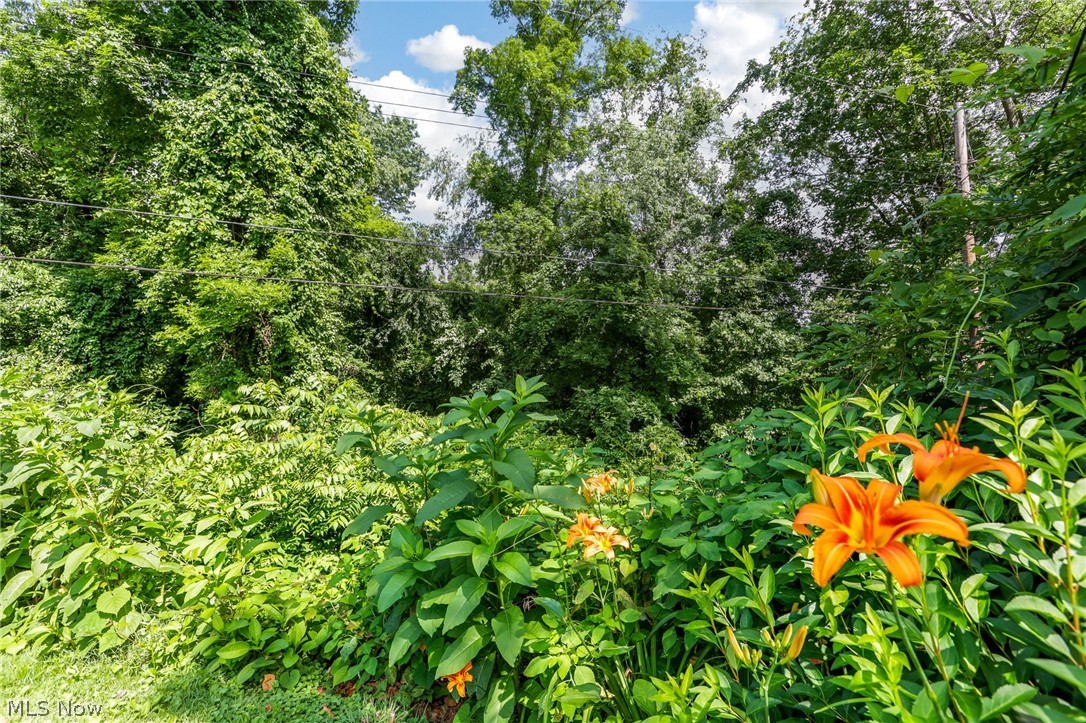 62682 Beverly Lane Cambridge OH 43725