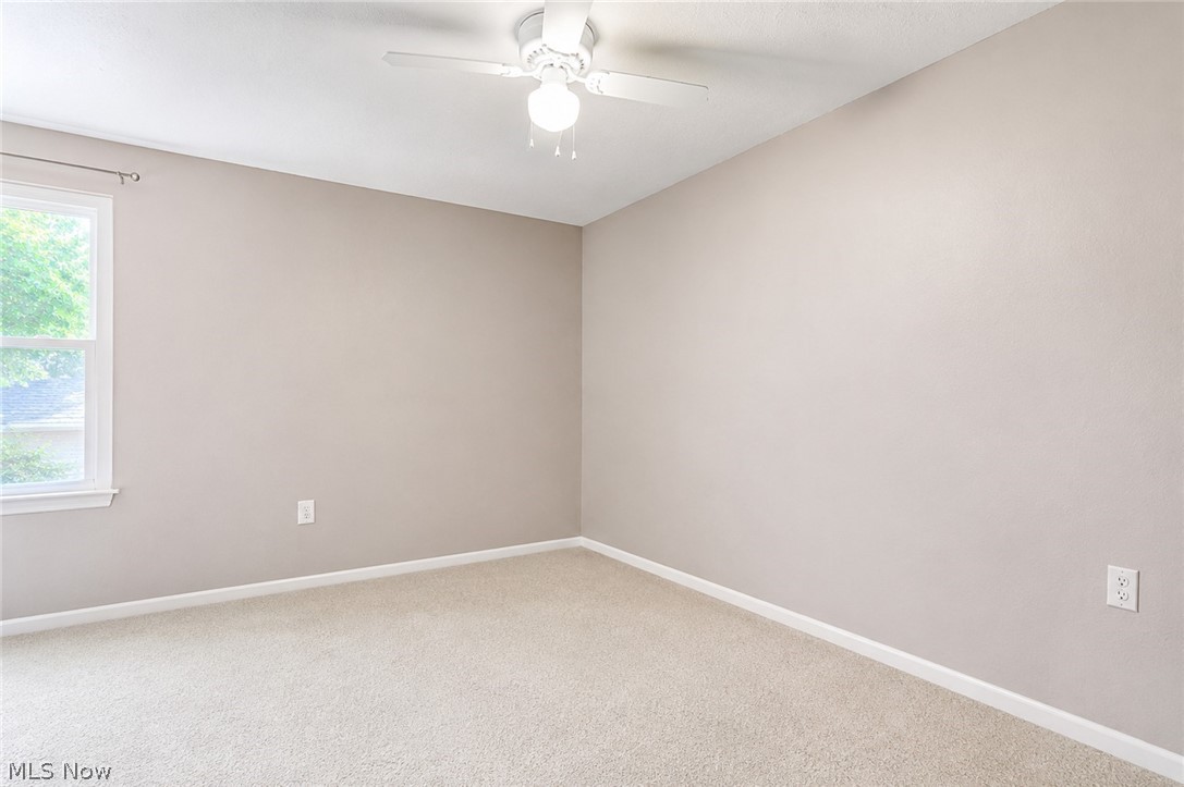 1612 Fruitland Avenue Mayfield Heights OH 44124