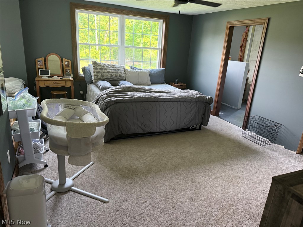 13166 Butternut Road Burton OH 44021