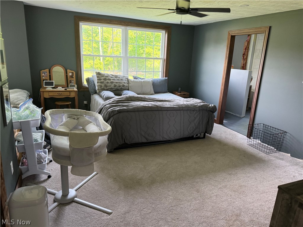 13166 Butternut Road Burton OH 44021