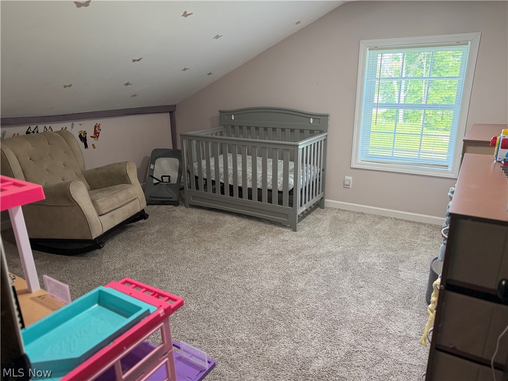13166 Butternut Road Burton OH 44021