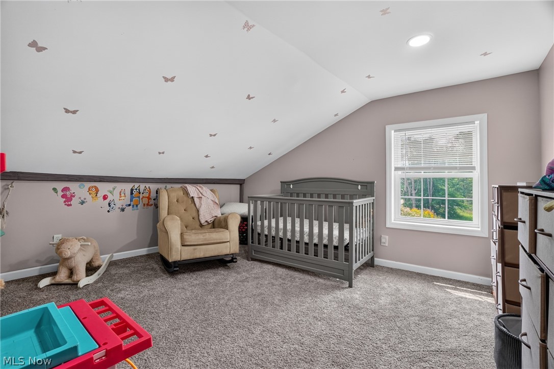 13166 Butternut Road Burton OH 44021