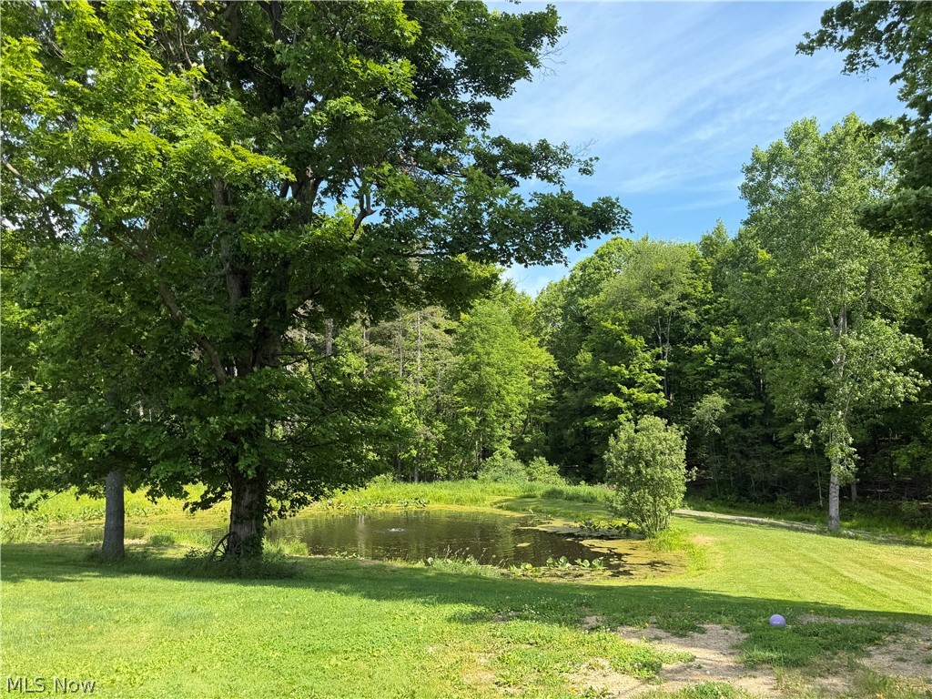 13166 Butternut Road Burton OH 44021