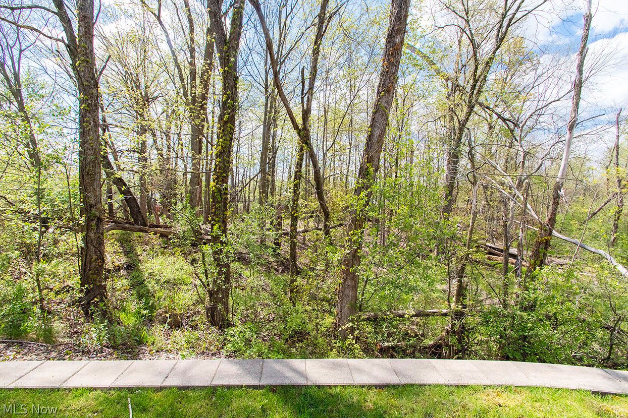 498 Rockledge Lane Brunswick OH 44212